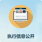 执行信息公开